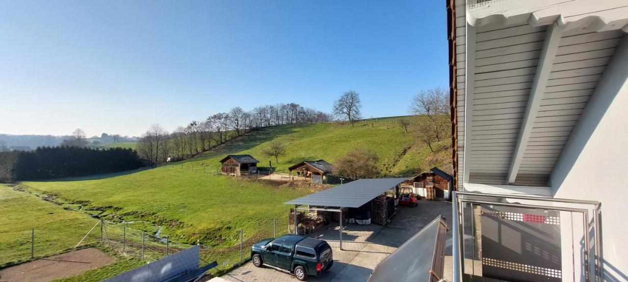 Grosse Tolle 4 Zimmer Ferienwohnung Im Herzen Des Odenwaldes Moerlenbach Экстерьер фото